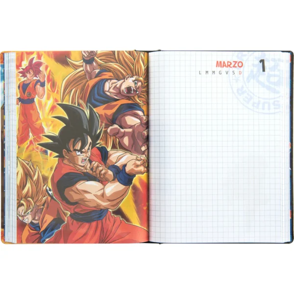 diario-goku-A1
